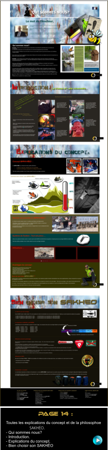 page 14 :   Toutes les explications du concept et de la philosophoe                           SAKHO. - Qui sommes nous? - Introduction. - Explications du concept. - Bien choisir son SAKHO